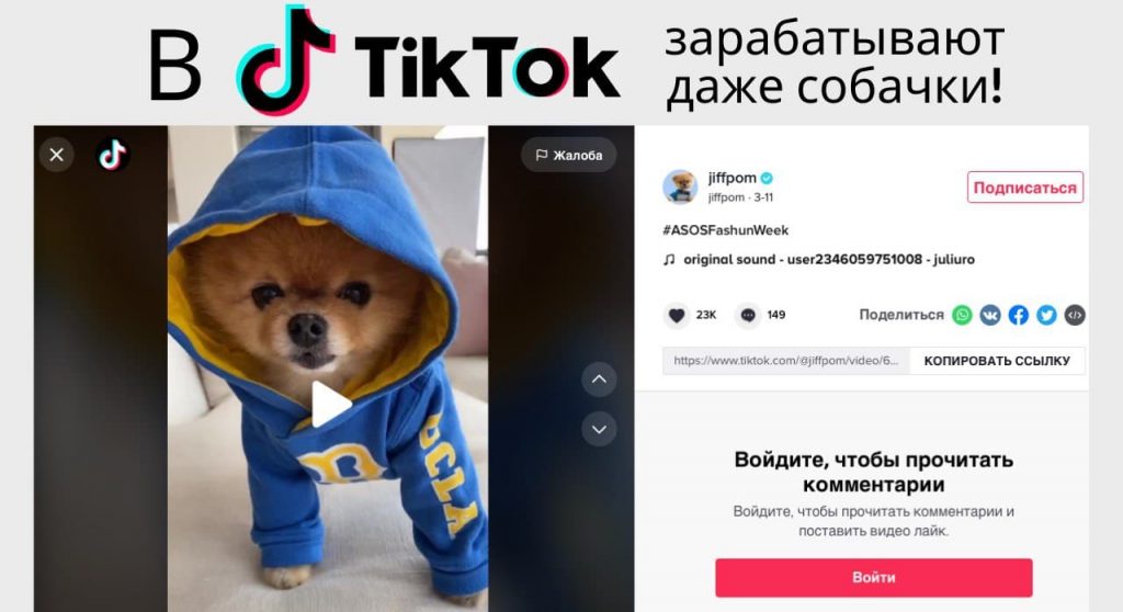 Even dogs make money on Tik Tok