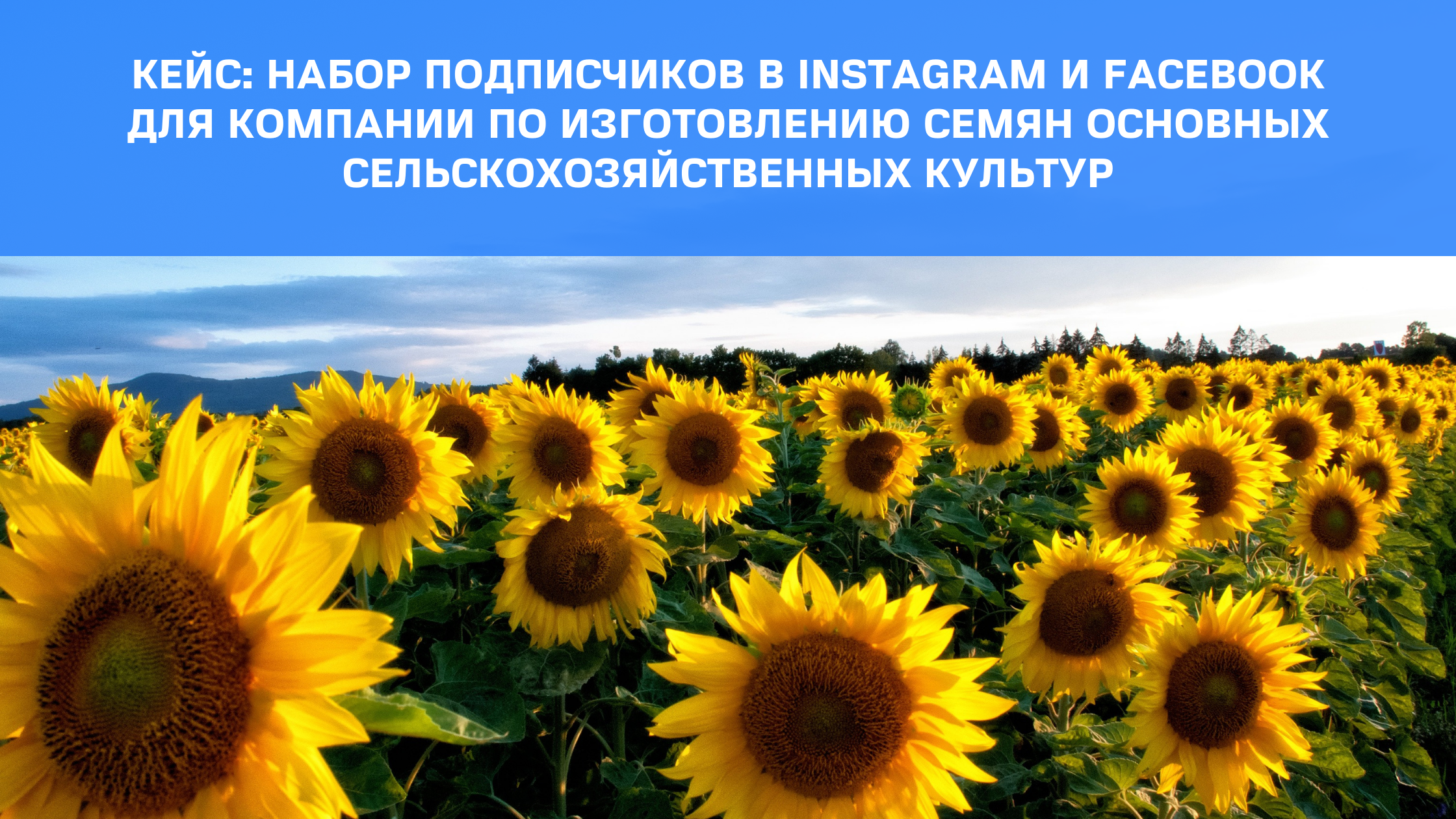 Кейс: Набор подписчиков в Instagram и Facebook для компании по изготовлению семян основных сельскохозяйственных культур